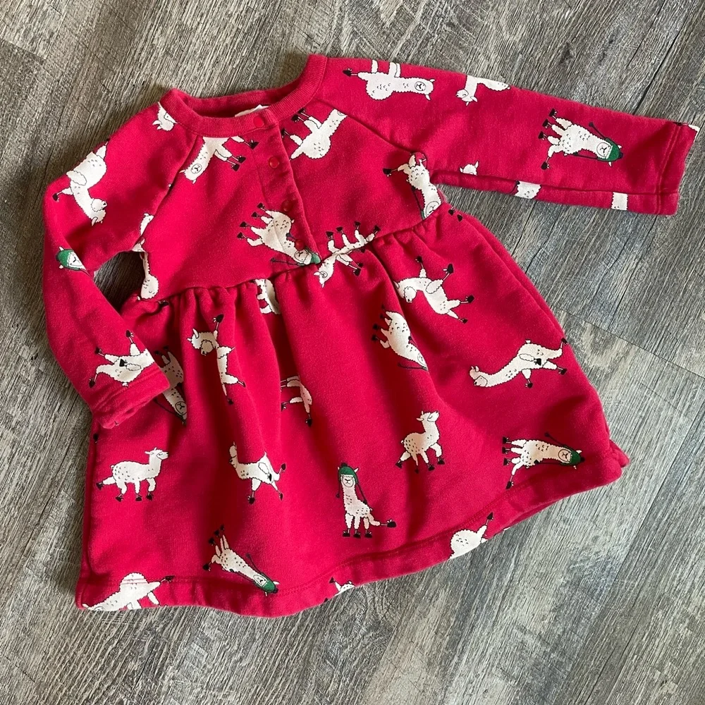 Hanna Andersson long sleeve llama print dress